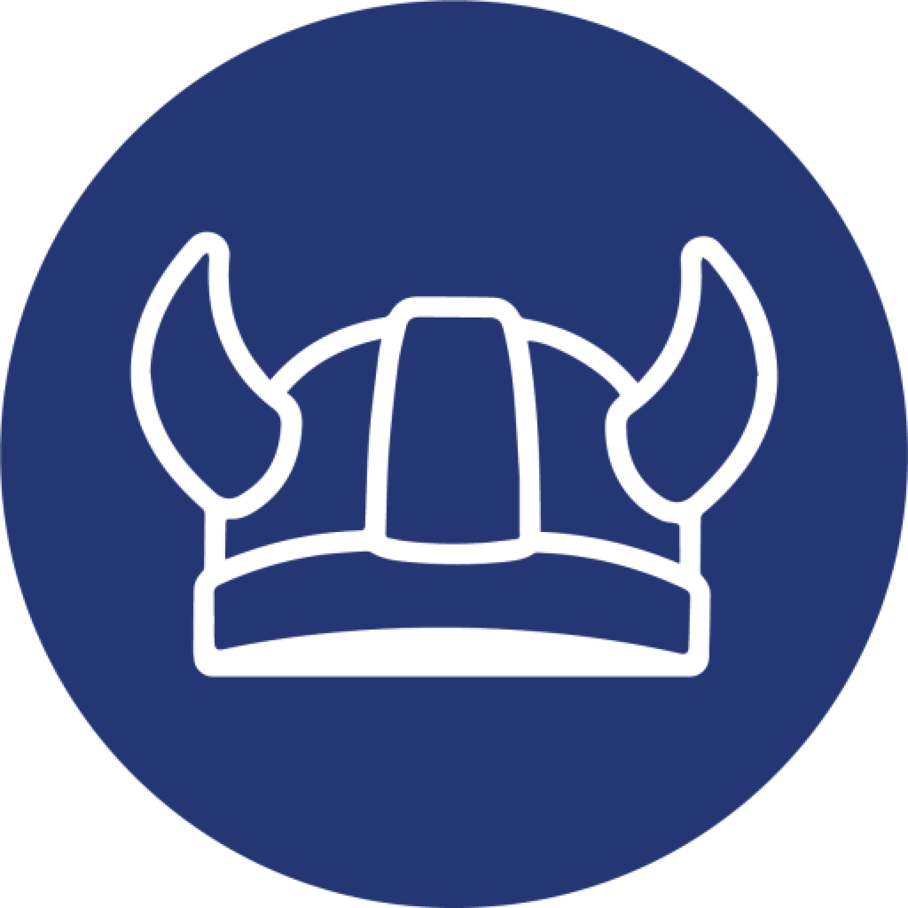 cropped-Viking-Icon.png